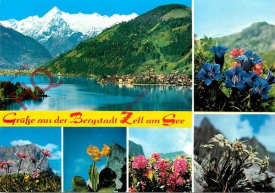 Ansichtskarte>>Zell Am See, Blumen (Multiview)