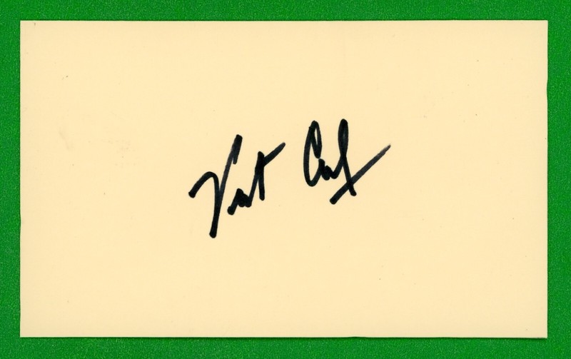 Vinton Cerf Inventor of the internet, Hall of Fame Signed 3x5 Tan Card P3585