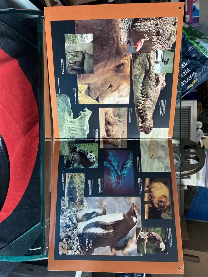 Mannheim Steamroller: Saving The Wildlife Sound Track (1986, Vinyl LP) Foto 3 de 4