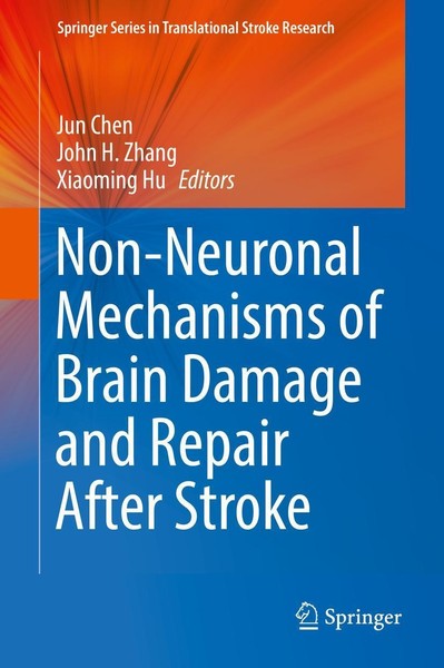 Non-Neuronal Mechanisms Of Brain Damage And Repair After Stroke Jun Chen-image