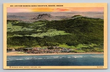 Vintage Linen Postcard Air View Saddle Mountain Seaside Oregon