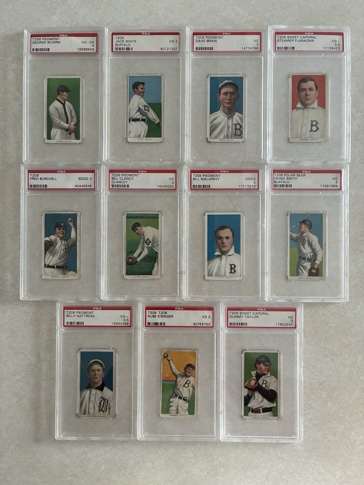 1909 T206 Buffalo Bisons Team Set PSA Graded Piedmont Polar Bear Sweet Caporal