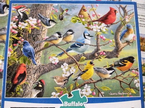 Buffalo 1000PC Hautman Brothers Birds In An Orchard Jigsaw Puzzle~Poster~EXC! - Picture 3 of 9