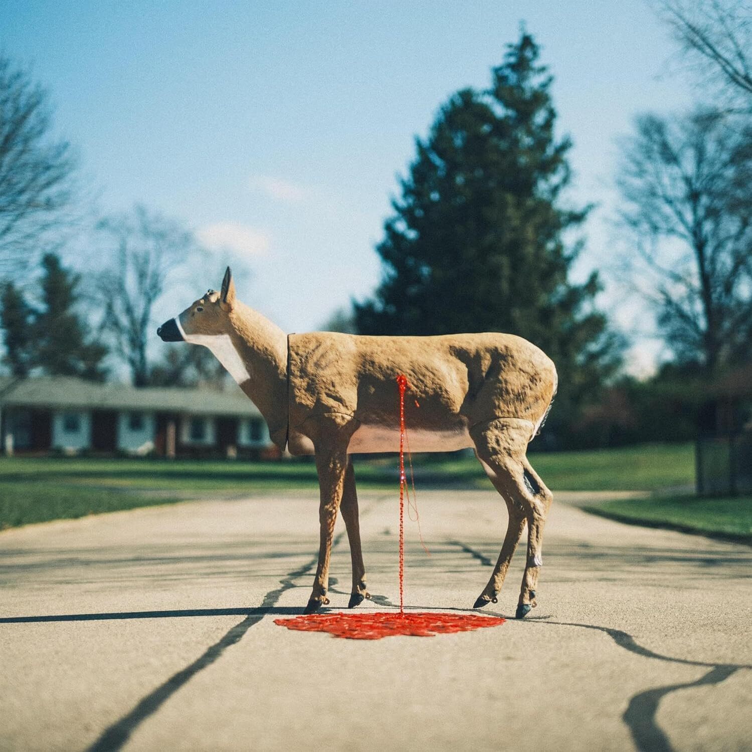 Wayne Graham Bastion (Vinyl LP) 12" Album