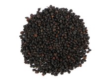 WholeSALE  Wildcrafted Elderberry PREMIUM Dried Whole-4 oz, 1 lb.