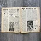 Bild 11 von 19