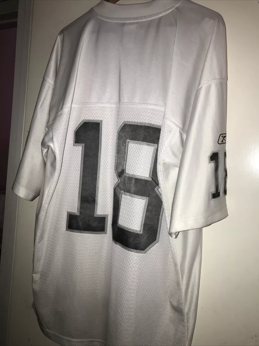 Blank hotsell raiders jersey