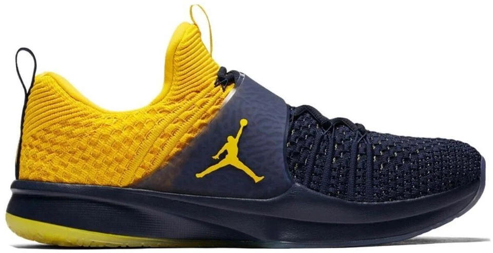 Jordan Trainer 2 Flyknit Michigan