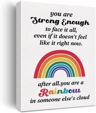 You are a Rainbow in Someone 40x50cm Stretched Inspiration Canvas Wall Art Print