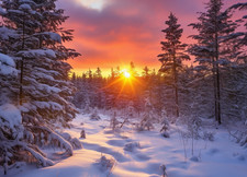 Winter Woodland Sunset Landscape Canvas Picture Print Wall Art