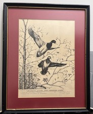 1970 Divinity Within Them Breeding Wings Signed By G. Michael Smith Vtg Print