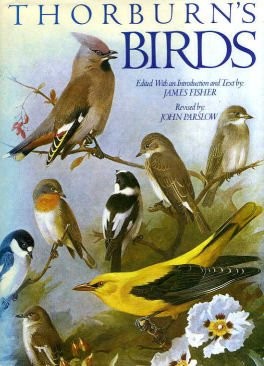 Thorburns Birds, Thorburn, Archibald, Used; Good Book