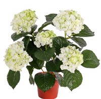Artplants Kunstblume Hortensie Temari, Creme
