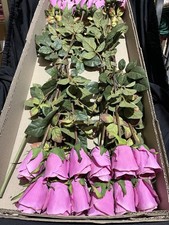 Box Of 24 Realistic Artificial Rose Stems - Pink