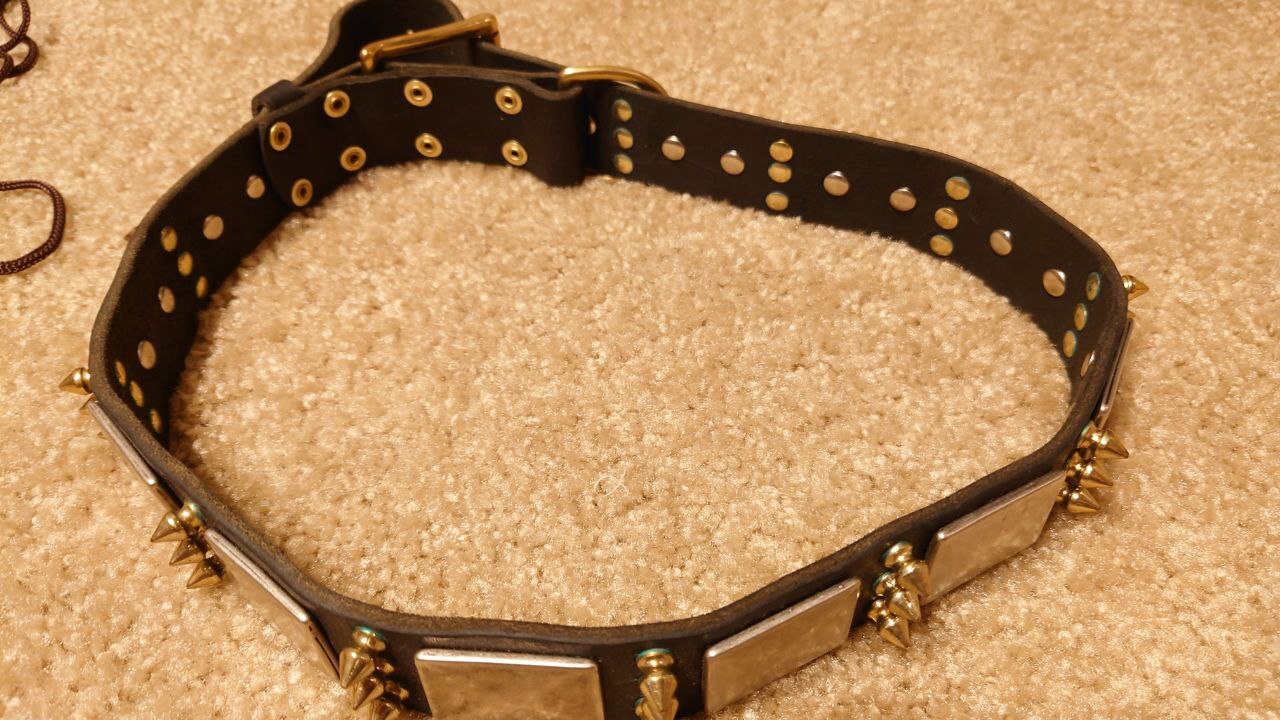 dean and tyler dog collars