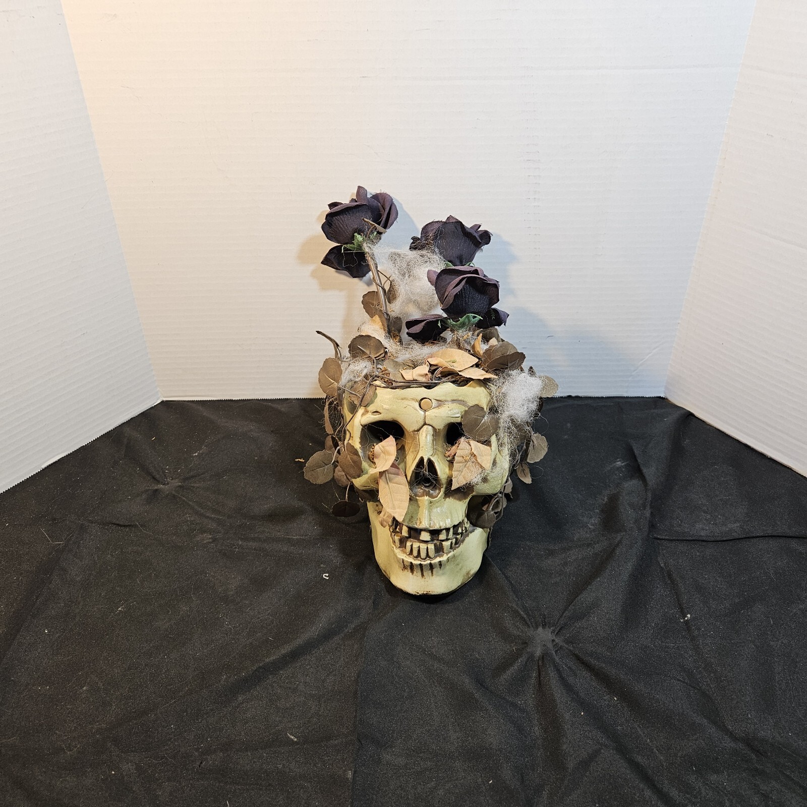 Picture 5 of 23