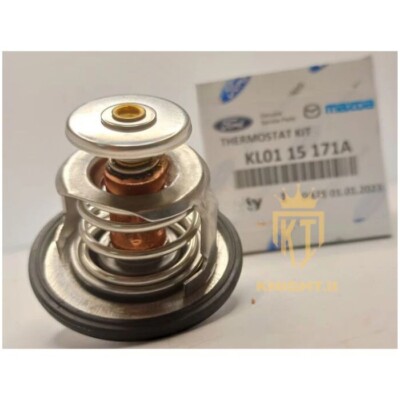 ダーマ 2001 Kawasaki ZX-11 | Bike-urious