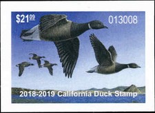 CALIFORNIA  #48  2018  STATE DUCK STAMP BLACK BRANT by Mark Thone