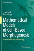 Mathematical Models Of Cell-Based Morphogenesis Passive And Active Remodeling