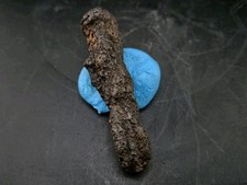 Claw Fossil Unknown Avain Species Perfect Specimen 