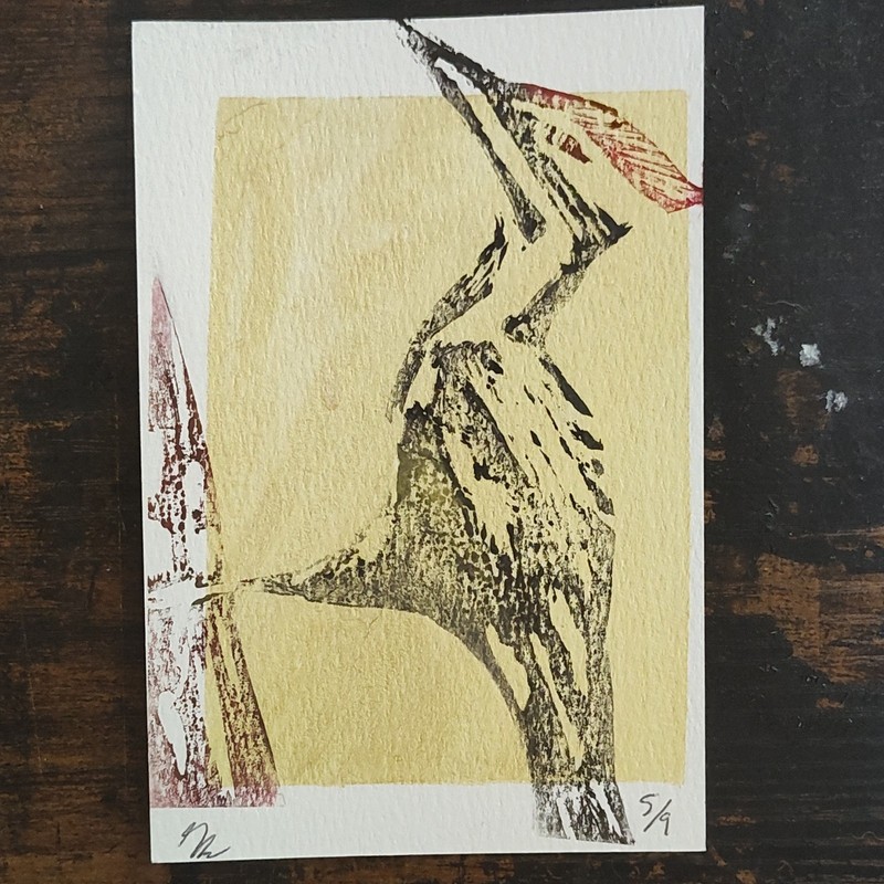 Bird Art Postcard Unposted Divided Back (1907-1915) Paper Single Card