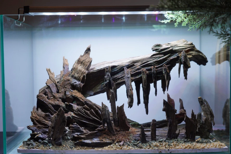 [SCAPE-101] Naturaleza Acuario Aquascape Madera a la deriva – 9,3 galones Foto 3 de 4