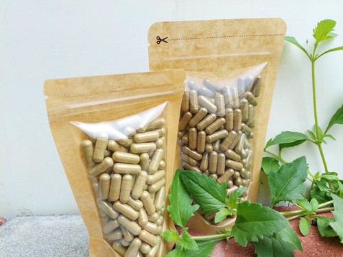 {idHerb} Phaleria macrocarpa Mahkota dewa Natural Organic Herbal Herbs - Picture 3 of 3