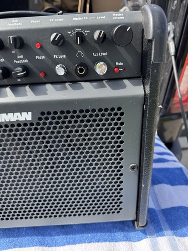Amplificatore chitarra acustica Fishman Loudbox 100 ~ testato/funzionante ~ vedi video ~ SFH - Foto 4 di 10