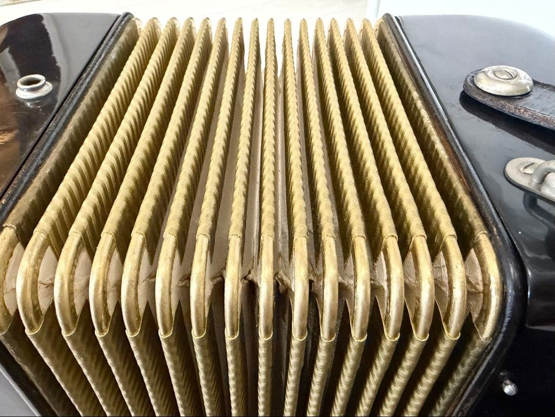Hohner Concerto Accordion 34 Key 48 Bass Serviced Tuned Made In