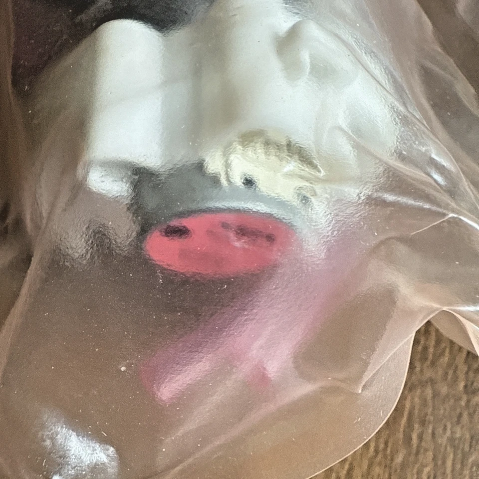 Honda OEM Carburetor 16100-ZL0-D66 NEW - Image 4 of 4