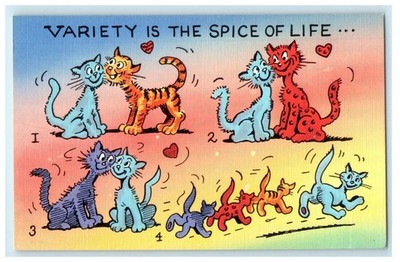 c1940's Variety Is The Spice Of Life Cats Paying Comic Funny Postcard
