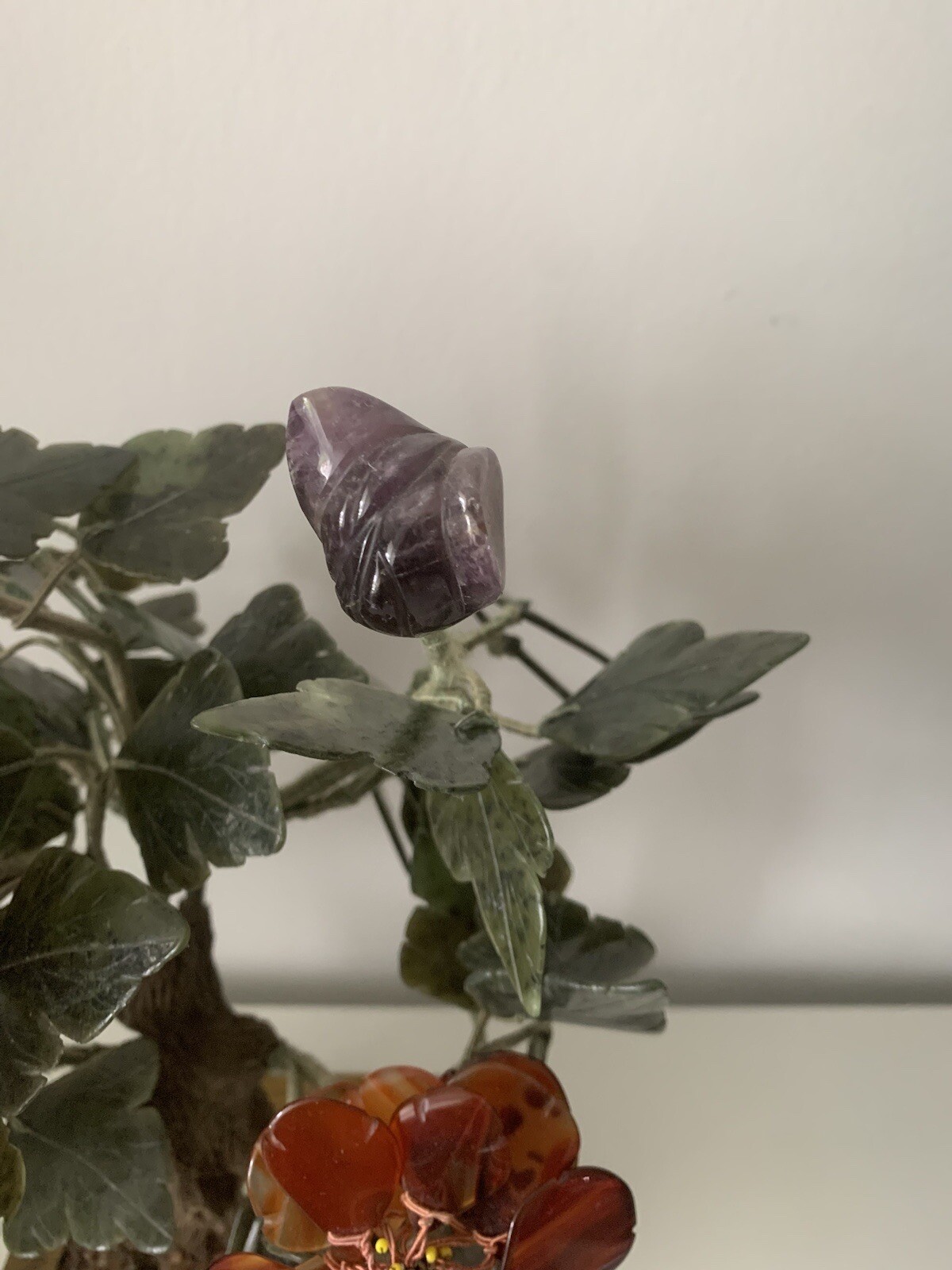 Picture 5 of 22
