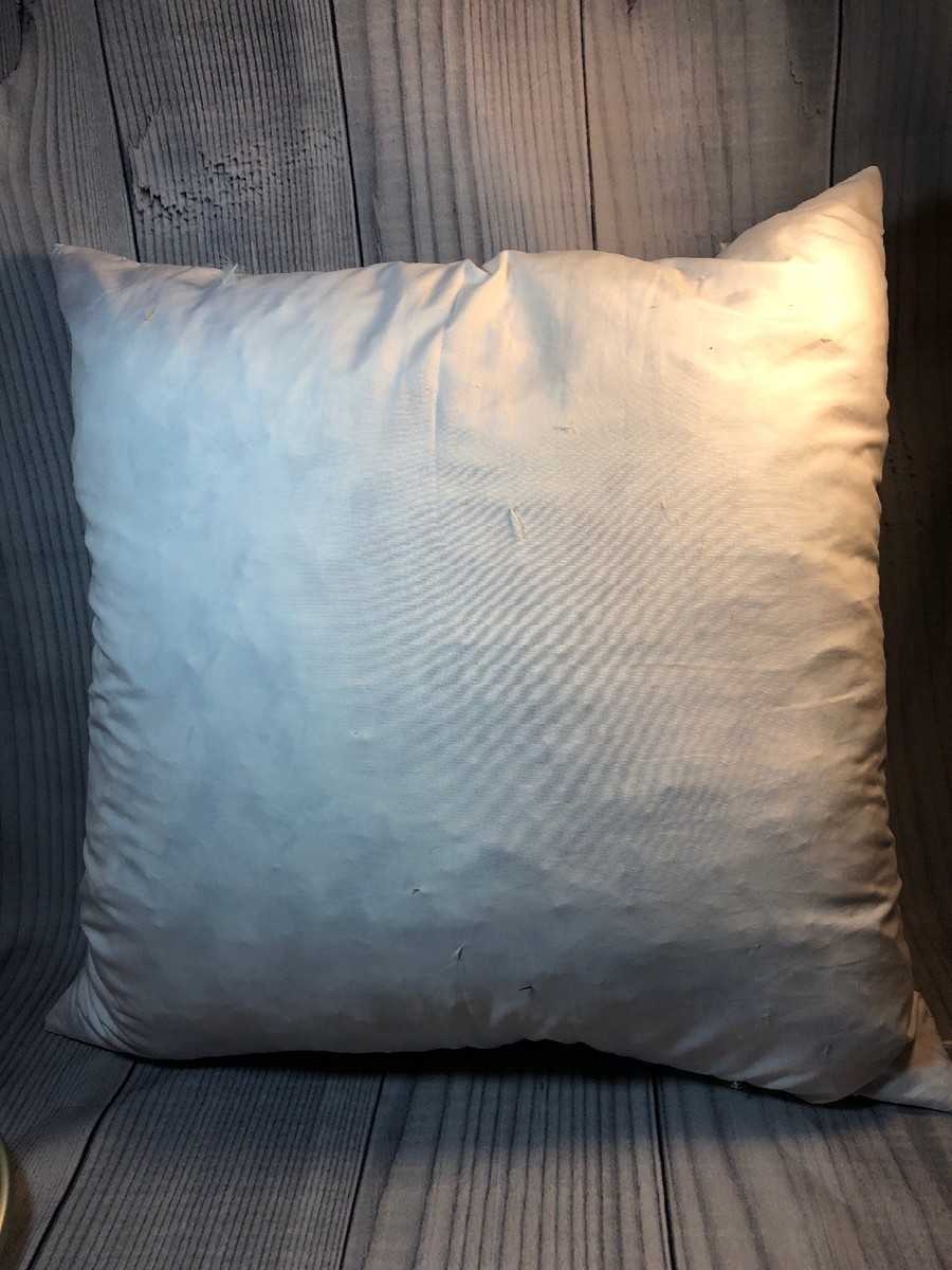 Overstuffed Goose Feather Pillow Insert 20