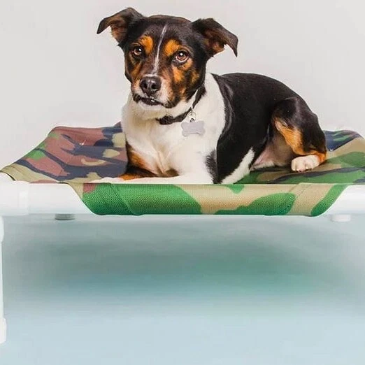 Truman + Teddy Elevated Dog Bed (Blaze Orange) - Image 3 of 4