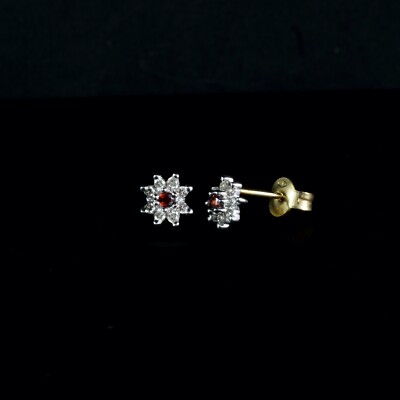 Cluster-Ohrstecker 9 kt Gelbgold Granat & Diamant (0,15 kt)