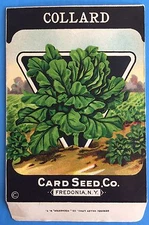 *Original* COLLARD Greens Vegetable CARD SEED Packet Pack 1920's Fredonia N.Y.