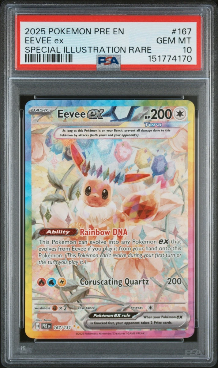 Preços baixos em Eevee Pokémon TCG Autenticador Esportivo