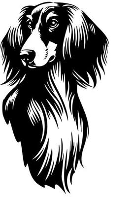 SALUKI Aufkleber - Autoaufkleber - sticker - Saluki Windhund Kopf #20 - Bild 1 von 3