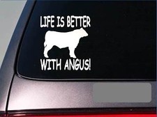 Life is better with angus *f430* sticker decal cattle black texas beef stock