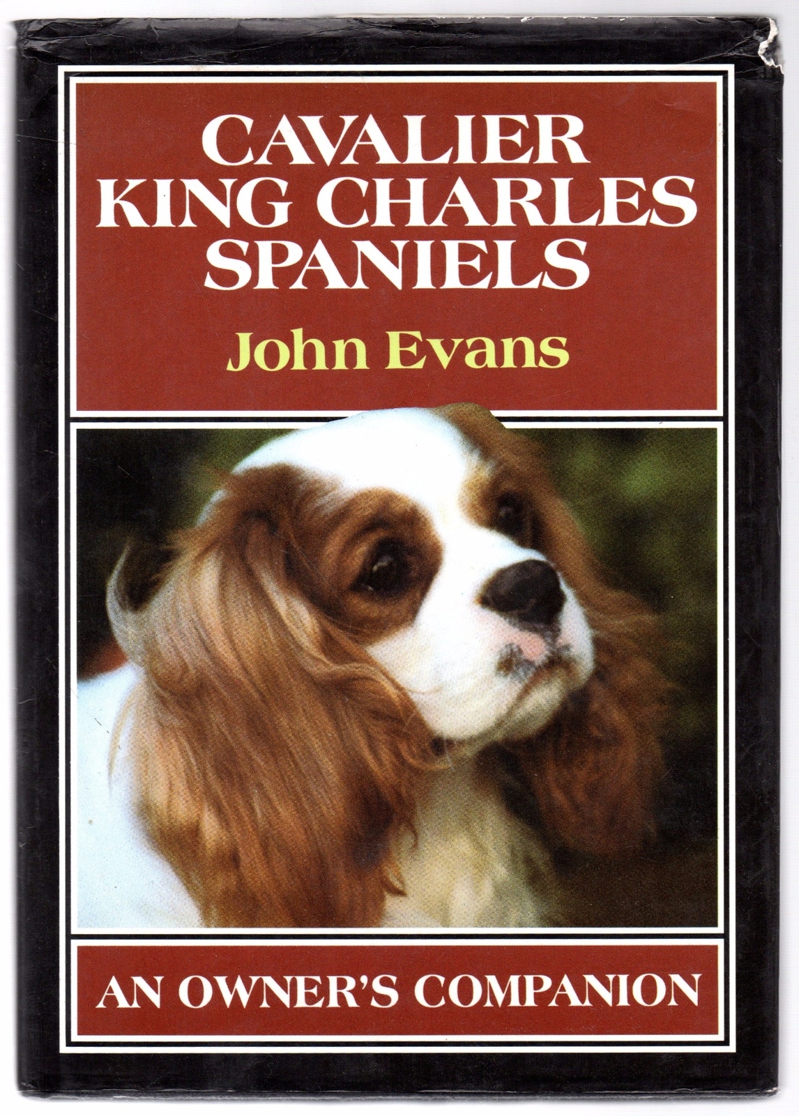 Cavalier King Charles Spaniels: An Owners Compa... - John Evans - First Editi...