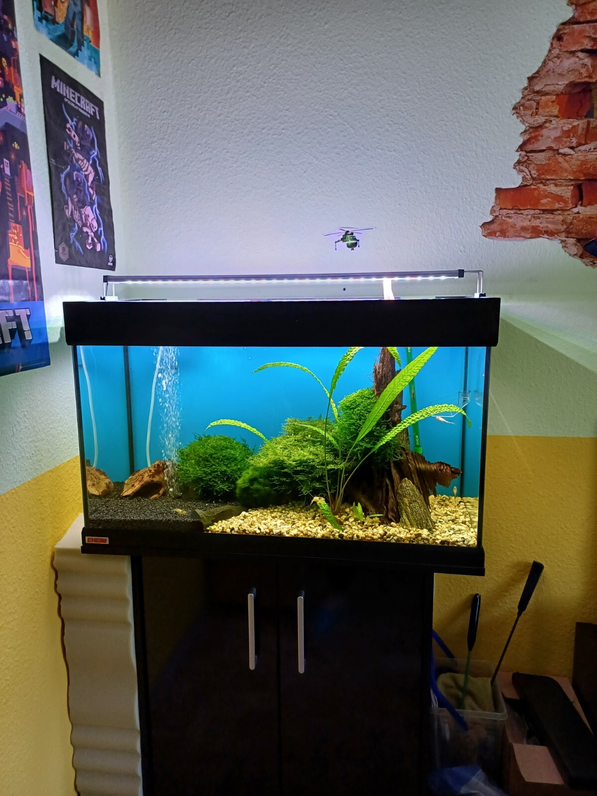 aquarium komplett mit unterschrank gebraucht eBay