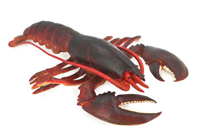Life Size Model Lobster Realistic Hard Rubber Educational Model 9'' F4070 B91