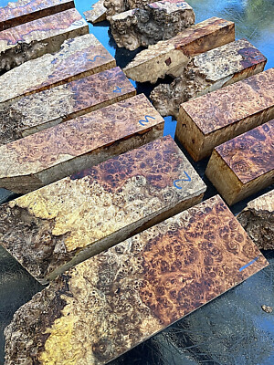 AMBOYNA BURL BURR Live Edge Blöcke für Resin Casting Messergriff Schuppen Basteln