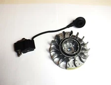 STIHL MS 261 MS 271 MS 291 Coil and Flywheel OEM