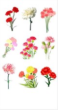 Carnation Flower Sticker Sheet Red Pink White Floral Bouquet Botanical Vinyl Carnation Flower Sticker Sheet Red Pink White Floral Bouquet Botanical Vinyl