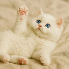 Digital Image Picture Wallpaper Background Desktop Art Download