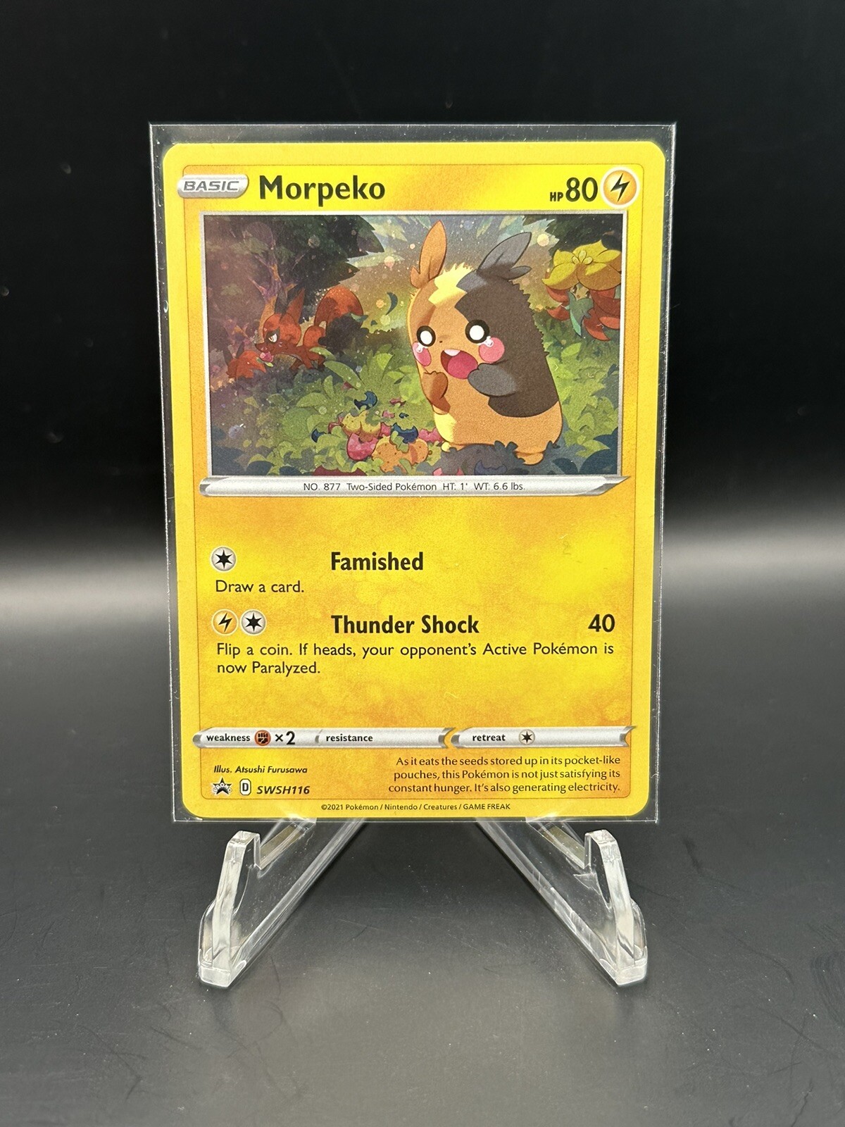 Morpeko SWSH116 | SWSH - Black Star Promo | Cosmos Holo | Pokemon NM