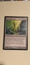 MTG Thornbite Staff Morningtide Magic the Gathering NM/M Never Played