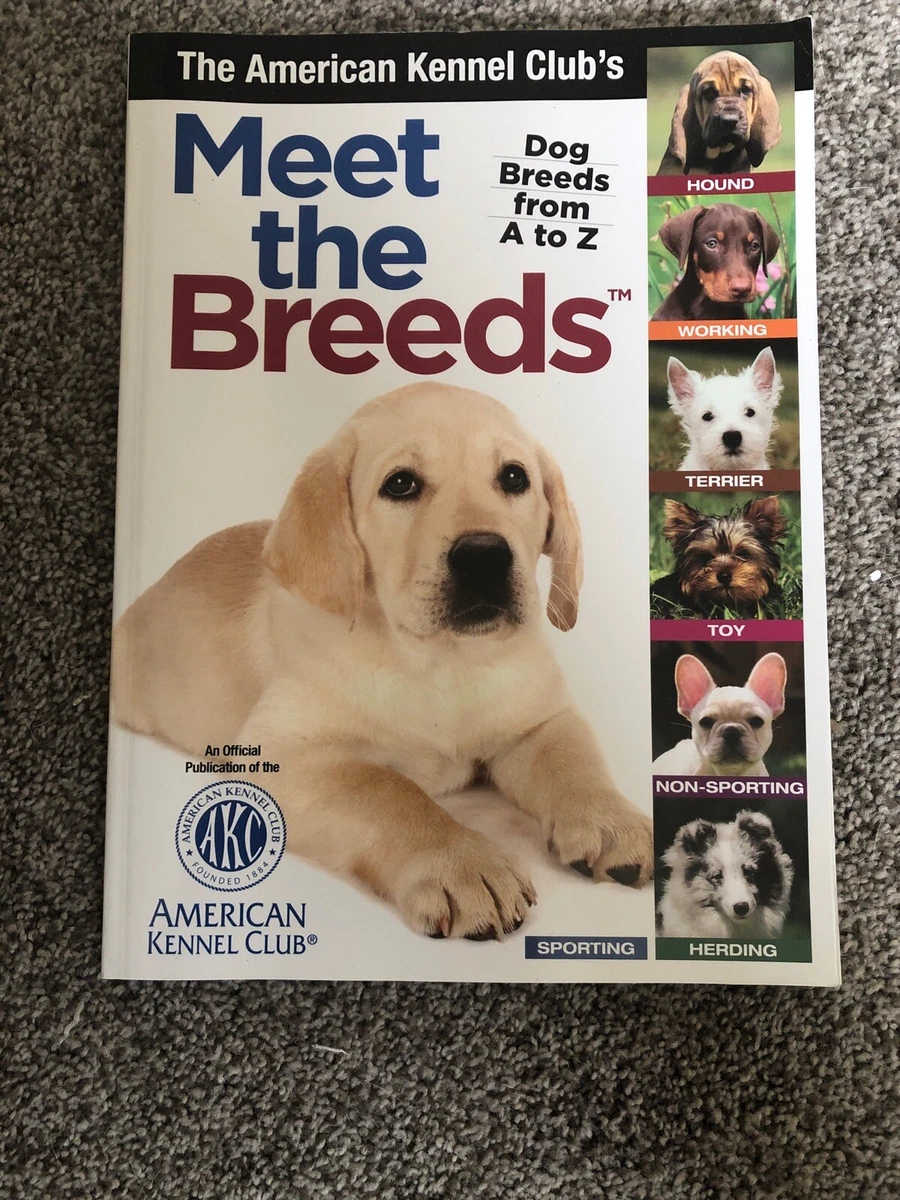 American kennel club meet the breeds sales