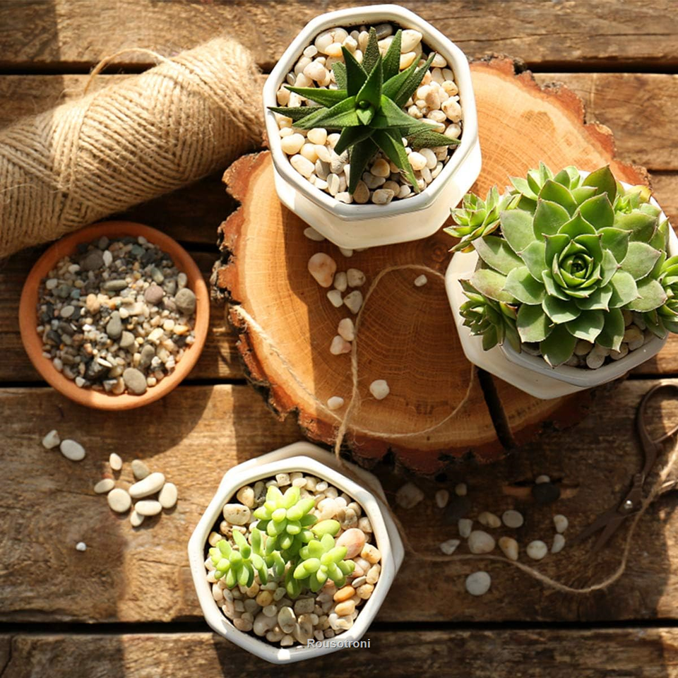 River Rocks Stones Natural Decorative Pebbles Fish Tank Gravel Small